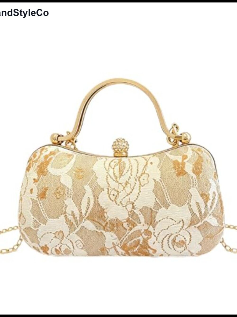 Embroidered Floral Clutch Purse Crossbody Evening Bag Gold Chain